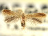  ( - CNCLEP00104770)  @11 [ ] CreativeCommons - Attribution (2013) CBG Photography Group Centre for Biodiversity Genomics