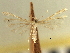  ( - CNCLEP00104825)  @11 [ ] CreativeCommons - Attribution (2013) CBG Photography Group Centre for Biodiversity Genomics