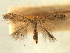  ( - CNCLEP00104872)  @11 [ ] CreativeCommons - Attribution (2013) CBG Photography Group Centre for Biodiversity Genomics