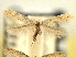  ( - CNCLEP00104873)  @11 [ ] CreativeCommons - Attribution (2013) CBG Photography Group Centre for Biodiversity Genomics