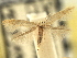  ( - CNCLEP00104874)  @11 [ ] CreativeCommons - Attribution (2013) CBG Photography Group Centre for Biodiversity Genomics