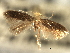  ( - CNCLEP00104879)  @11 [ ] CreativeCommons - Attribution (2013) CBG Photography Group Centre for Biodiversity Genomics
