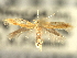  ( - CNCLEP00104883)  @11 [ ] CreativeCommons - Attribution (2013) CBG Photography Group Centre for Biodiversity Genomics