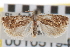  ( - CNCLEP00105194)  @11 [ ] CreativeCommons - Attribution (2012) CBG Photography Group Centre for Biodiversity Genomics