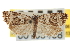  ( - CNCLEP00105406)  @11 [ ] CreativeCommons - Attribution (2013) CBG Photography Group Centre for Biodiversity Genomics