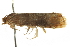  ( - CNCLEP00105453)  @12 [ ] CreativeCommons - Attribution (2013) CBG Photography Group Centre for Biodiversity Genomics