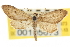  ( - CNCLEP00105673)  @11 [ ] CreativeCommons - Attribution (2013) CBG Photography Group Centre for Biodiversity Genomics