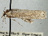  ( - CNCLEP00106397)  @11 [ ] CreativeCommons - Attribution (2013) CBG Photography Group Centre for Biodiversity Genomics