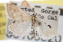  ( - CNCLEP00106520)  @11 [ ] CreativeCommons - Attribution (2013) CBG Photography Group Centre for Biodiversity Genomics