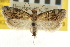  ( - CNCLEP00107025)  @15 [ ] CreativeCommons - Attribution (2013) CBG Photography Group Centre for Biodiversity Genomics