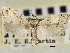  ( - CNCLEP00107028)  @11 [ ] CreativeCommons - Attribution (2013) CBG Photography Group Centre for Biodiversity Genomics