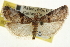  ( - CNCLEP00107051)  @14 [ ] CreativeCommons - Attribution (2013) CBG Photography Group Centre for Biodiversity Genomics