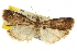  ( - CNCLEP00107065)  @14 [ ] CreativeCommons - Attribution (2013) CBG Photography Group Centre for Biodiversity Genomics