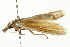  ( - CNCLEP00107145)  @12 [ ] CreativeCommons - Attribution (2013) CBG Photography Group Centre for Biodiversity Genomics
