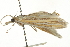  ( - CNCLEP00107146)  @12 [ ] CreativeCommons - Attribution (2013) CBG Photography Group Centre for Biodiversity Genomics