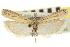  ( - CNCLEP00107164)  @11 [ ] CreativeCommons - Attribution (2013) CBG Photography Group Centre for Biodiversity Genomics