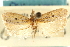  ( - CNCLEP00107201)  @11 [ ] CreativeCommons - Attribution (2013) CBG Photography Group Centre for Biodiversity Genomics
