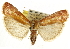  ( - CNCLEP00107270)  @14 [ ] CreativeCommons - Attribution (2013) CBG Photography Group Centre for Biodiversity Genomics