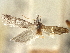  ( - CNCLEP00107395)  @11 [ ] CreativeCommons - Attribution (2013) CBG Photography Group Centre for Biodiversity Genomics