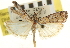 ( - CNCLEP00107441)  @13 [ ] CreativeCommons - Attribution (2013) CBG Photography Group Centre for Biodiversity Genomics