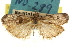  ( - CNCLEP00107443)  @11 [ ] CreativeCommons - Attribution (2013) CBG Photography Group Centre for Biodiversity Genomics