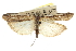  ( - CNCLEP00107492)  @12 [ ] CreativeCommons - Attribution (2013) CBG Photography Group Centre for Biodiversity Genomics