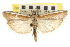  ( - CNCLEP00107494)  @15 [ ] CreativeCommons - Attribution (2013) CBG Photography Group Centre for Biodiversity Genomics