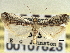  ( - CNCLEP00107626)  @11 [ ] CreativeCommons - Attribution (2013) CBG Photography Group Centre for Biodiversity Genomics