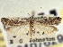  ( - CNCLEP00107629)  @11 [ ] CreativeCommons - Attribution (2013) CBG Photography Group Centre for Biodiversity Genomics