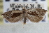  ( - CNCLEP00107710)  @13 [ ] CreativeCommons - Attribution (2013) CBG Photography Group Centre for Biodiversity Genomics