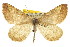  ( - CNCLEP00107758)  @13 [ ] CreativeCommons - Attribution (2013) CBG Photography Group Centre for Biodiversity Genomics