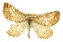  ( - CNCLEP00107759)  @13 [ ] CreativeCommons - Attribution (2013) CBG Photography Group Centre for Biodiversity Genomics