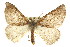  ( - CNCLEP00107783)  @15 [ ] CreativeCommons - Attribution (2013) CBG Photography Group Centre for Biodiversity Genomics