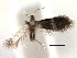  ( - CNCLEP00104194)  @11 [ ] CreativeCommons - Attribution (2013) CBG Photography Group Centre for Biodiversity Genomics