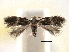  ( - CNCLEP00104195)  @11 [ ] CreativeCommons - Attribution (2013) CBG Photography Group Centre for Biodiversity Genomics