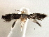  ( - CNCLEP00104503)  @11 [ ] CreativeCommons - Attribution (2013) CBG Photography Group Centre for Biodiversity Genomics