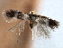  ( - CNCLEP00104540)  @11 [ ] CreativeCommons - Attribution (2013) CBG Photography Group Centre for Biodiversity Genomics