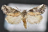  ( - CNCLEP 102406)  @14 [ ] CreativeCommons - Attribution (2013) CBG Photography Group Centre for Biodiversity Genomics