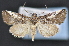  ( - CNCLEP 102407)  @14 [ ] CreativeCommons - Attribution (2013) CBG Photography Group Centre for Biodiversity Genomics