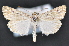 ( - CNCLEP 102411)  @14 [ ] CreativeCommons - Attribution (2013) CBG Photography Group Centre for Biodiversity Genomics