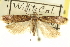  ( - USNM ENT 00014566)  @11 [ ] CreativeCommons - Attribution (2013) CNC/CBG Photography Group Centre for Biodiversity Genomics