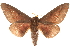  ( - BIOUG10886-C11)  @14 [ ] CreativeCommons - Attribution (2014) CBG Photography Group Centre for Biodiversity Genomics