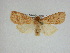  ( - 14-NCCC-194)  @14 [ ] Unspecified (default): All Rights Reserved  Unspecified Unspecified