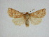  ( - 14-NCCC-195)  @14 [ ] Unspecified (default): All Rights Reserved  Unspecified Unspecified