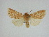  ( - 14-NCCC-196)  @14 [ ] Unspecified (default): All Rights Reserved  Unspecified Unspecified