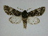  (Copivaleria - 14-NCCC-197)  @14 [ ] Unspecified (default): All Rights Reserved  Unspecified Unspecified