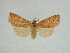  ( - 14-NCCC-224)  @14 [ ] Unspecified (default): All Rights Reserved  Unspecified Unspecified