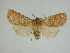  ( - 14-NCCC-225)  @13 [ ] Unspecified (default): All Rights Reserved  Unspecified Unspecified