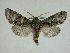  ( - 14-NCCC-227)  @13 [ ] Unspecified (default): All Rights Reserved  Unspecified Unspecified