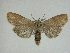  ( - 14-NCCC-234)  @14 [ ] Unspecified (default): All Rights Reserved  Unspecified Unspecified